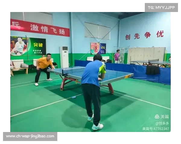 乒乓球技术革新速度放缓,器材标准化争议再起 乒乓球技术革新速度放缓,器材标准化争议再起