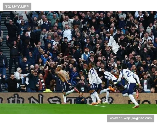 穆阿尼热刺左路竞争首发,特尔奥多贝尔伺机而动 穆阿尼热刺左路竞争首发,特尔奥多贝尔伺机而动